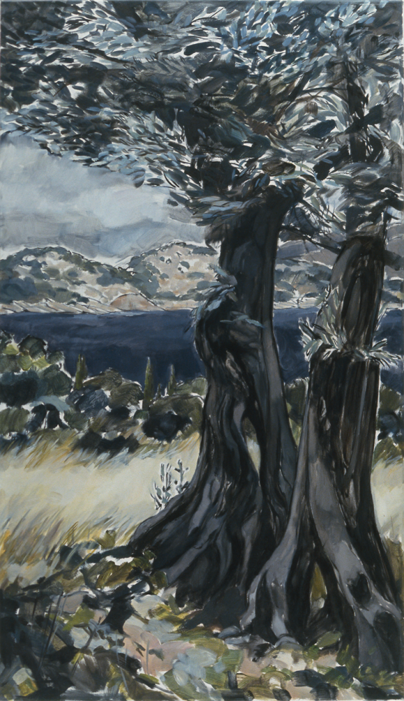 Olive Grove Lopud | 36" x 48" | 2008